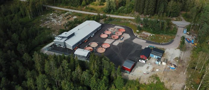 Sveriges första klimatanpassade lax- och öringsodling är invigd