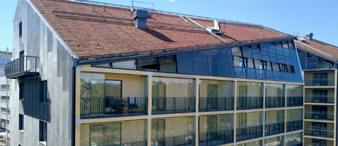 Här är husen som genererar mer energi än de förbrukar