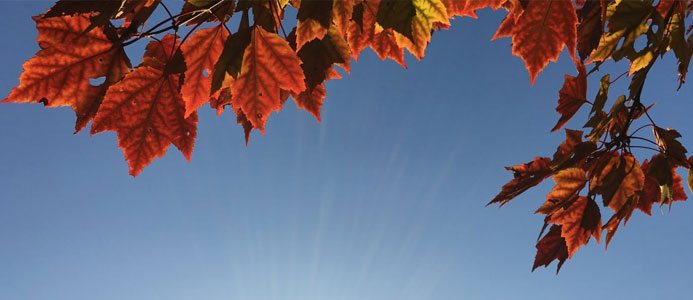 Sverige världsledande inom framtidens värme och kyla