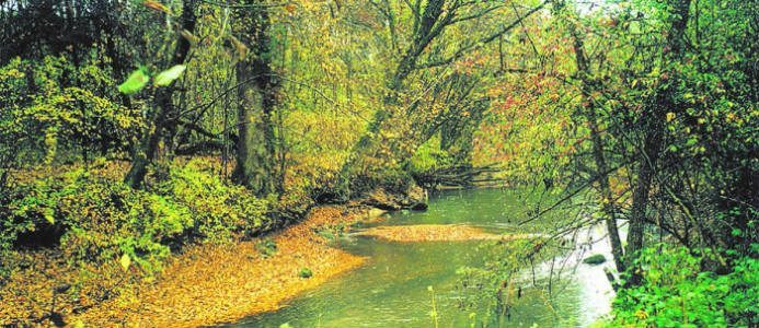 ÅF förvärvar Iteco