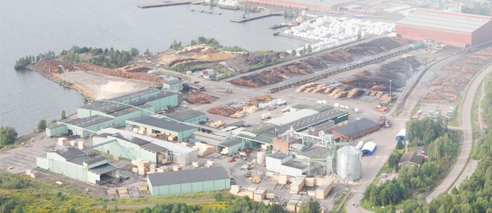 Ny produktionslinjen för korslimmat trä