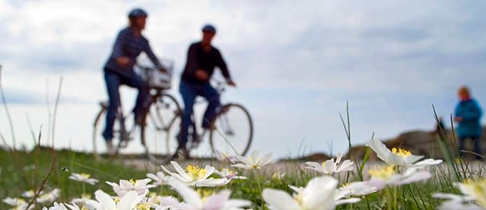 Svevia bygger ut cykelleden Kattgattleden