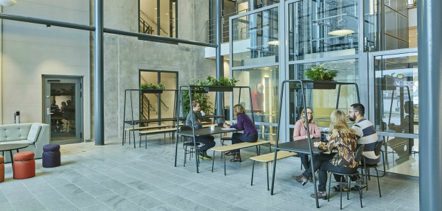 Därför vill forskarna få oss att bygga färre hus