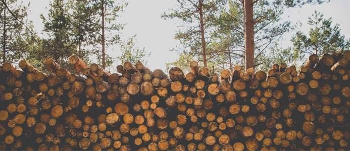 Vill reducera antalet hållbara biodrivmedel