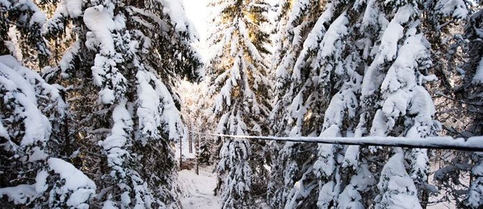 Kraftigt snöfall skapar problem i Värmland