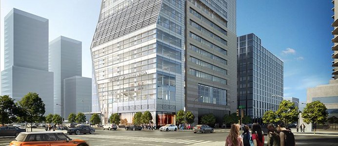 Morsani College of Medicine and Heart Institute