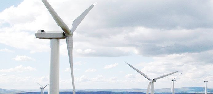 Vindkraftsprojekt läggs ner på grund av fladdermöss