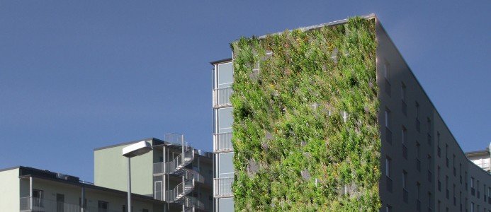 Här byggs landets första växtvägg på ett bostadshus