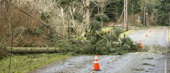 Efter Alfrida: omfattande arbete och stora kostnader