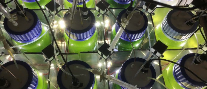 Positiva synergier mellan algodling och metallindustri