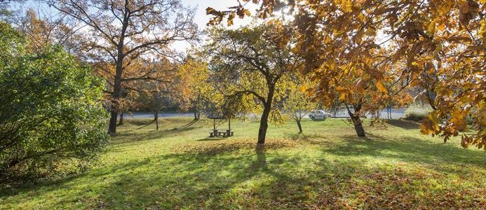 Tävling om minnesvård över tsunamin