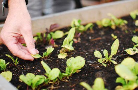 Majoriteten av göteborgarna vill bo miljösmart