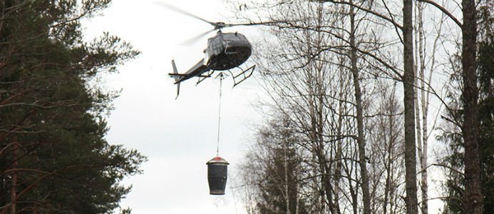 Askgranuler ger näring till skogen