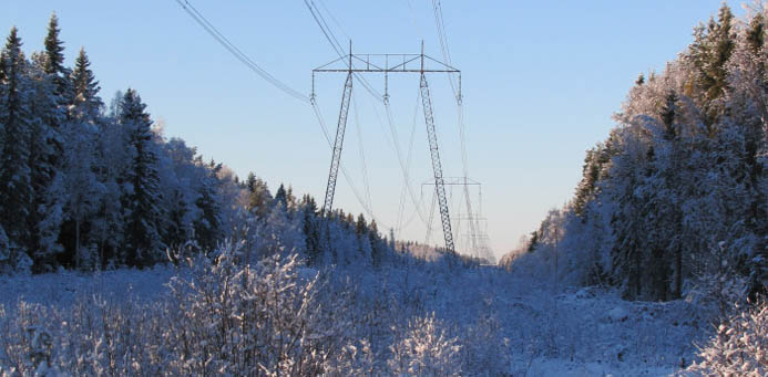 Mer grön el med smarta elnät