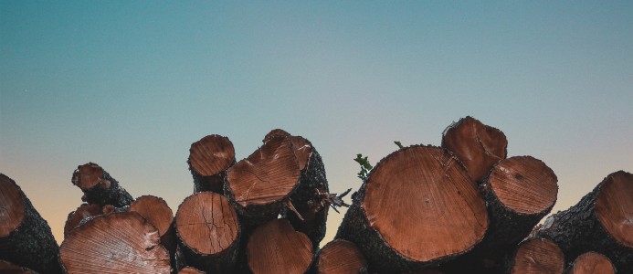 Forskningssamarbete ska stärka konkurrenskraften i svensk träindustri