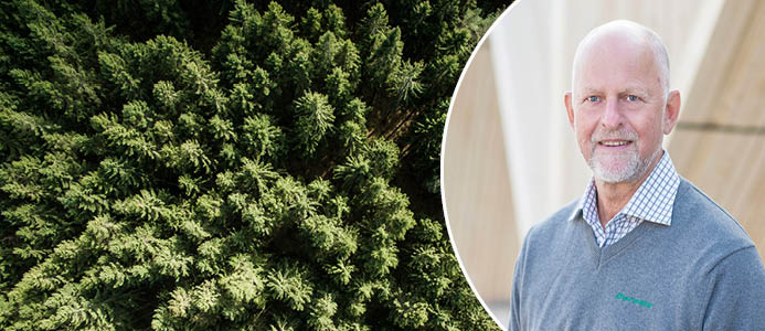 Topp inom träindustrin får kungamedalj