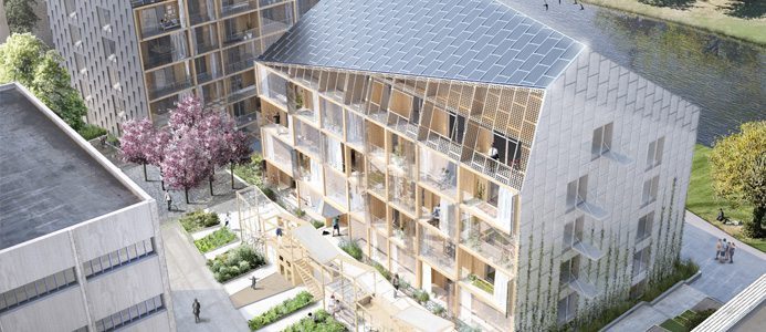 ”Tävlingar driver utvecklingen framåt”