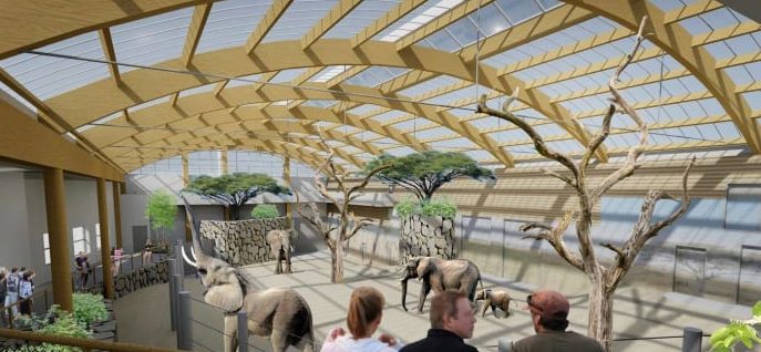 Bygger elefanthus för 30 miljoner