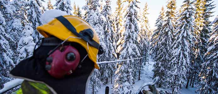 Ellevio utökar grön obligation