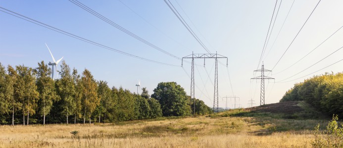 Handel om plats i elnätet – direkt mellan företag