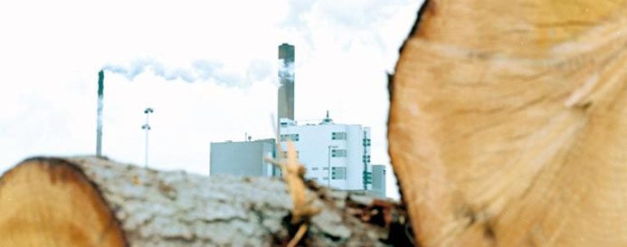 Utveckling skapar framtiden för papper- och massaindustrin