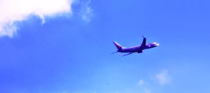 Ny studie lyfter biobränsleproduktion