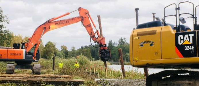 Största renoveringsvintern på 200 år