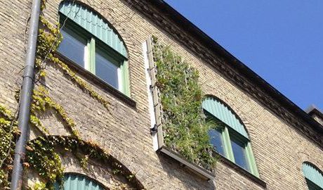 Gröna väggar i Varvsstaden
