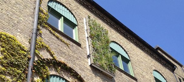 Gröna väggar i Varvsstaden