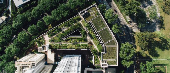 Framtidens stadsparker finns på hustaken