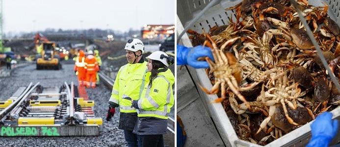 Vatten renas – med hjälp av amerikanska krabbskal