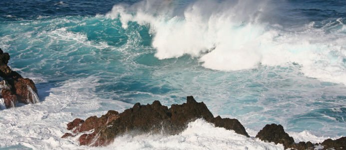 105 miljoner ska ta svensk havsenergi framåt