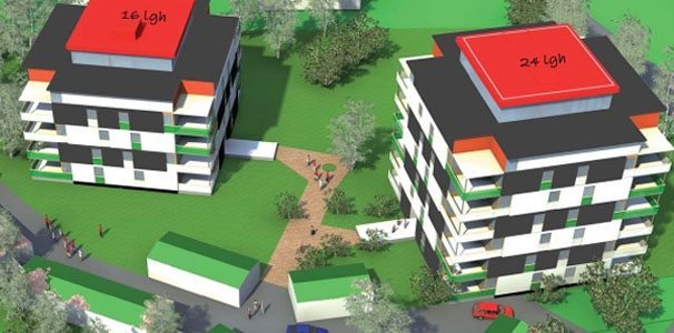 ”Hållbara Hilda” vinnare av Miljöpartiets kongresspris