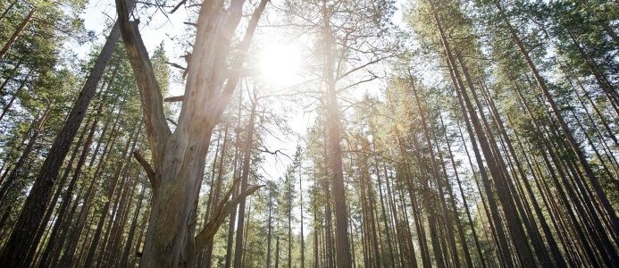 HSB ska få fler att energieffektivisera