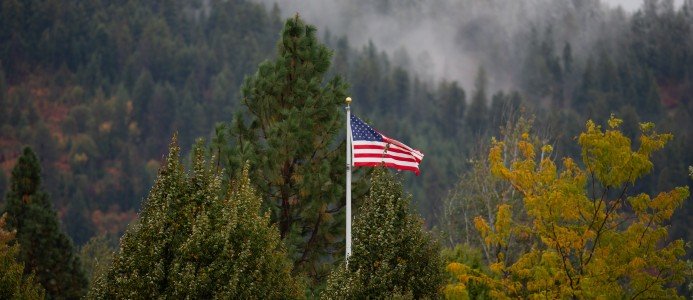 Träindustriföretag satsar på USA-export