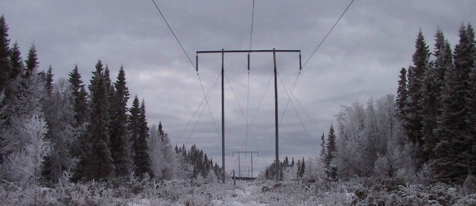 Svenska kraftnät utreder regler kring stödtjänster