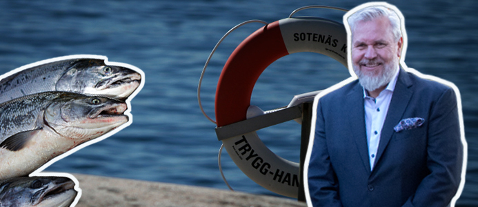 Sweco kräver laxbolag på miljonbelopp