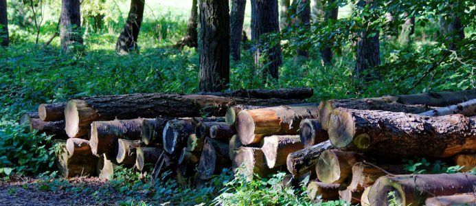 Rottneros säkrar råvaruförsörjning