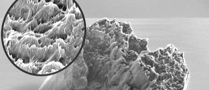 Världens starkaste biomaterial