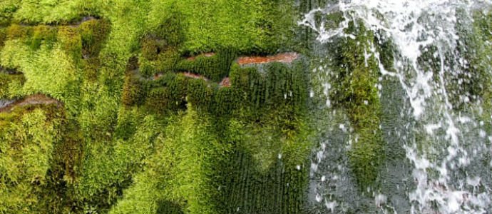 Bildkälla: Norconsult