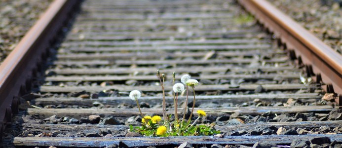 500 miljoner kronor till grön järnvägssatsning