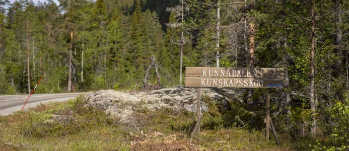 Rikstäckande projekt för hållbart skogsbruk