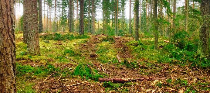 Miljötillståndsansökan för nytt bioraffinaderi