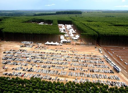 Brasilien starkt växande som skogsbruksland
