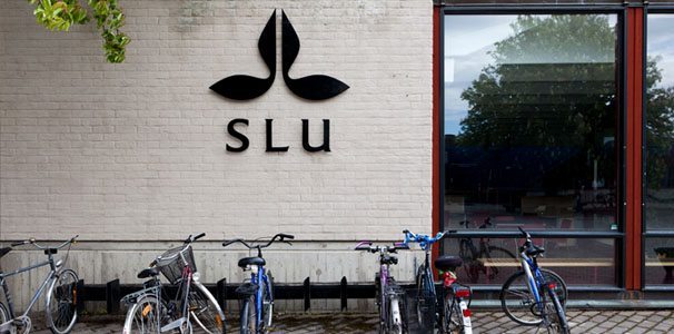 Peab bygger nytt vid SLU