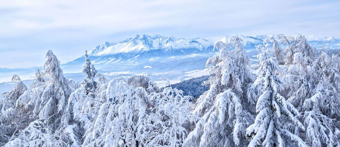 Tung snö tynger elpriserna