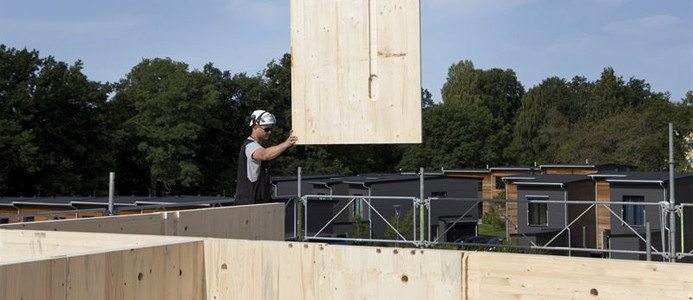 Södra satsar på ny anläggning för korslimmat