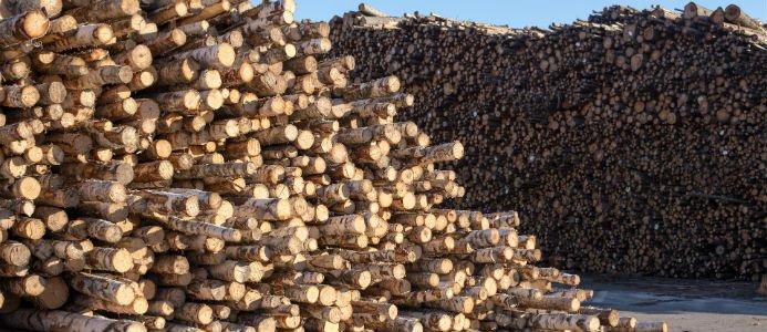 Södra sänker priser