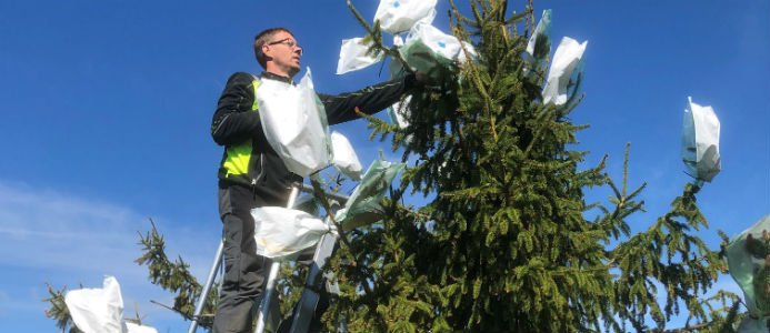 Forskning för framtiden skog