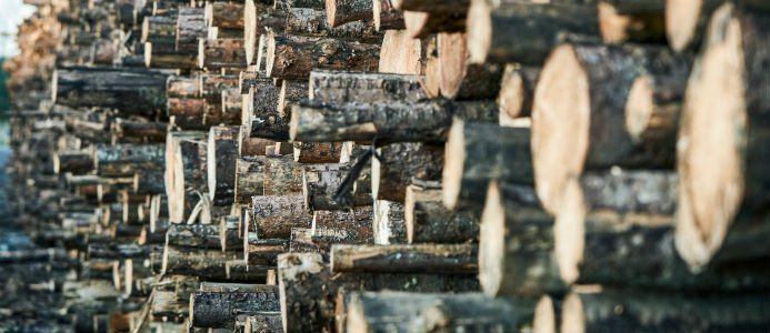 Södra inför korttidspermittering